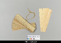 藏品(柬埔寨羅摩衍那劇本)的圖片